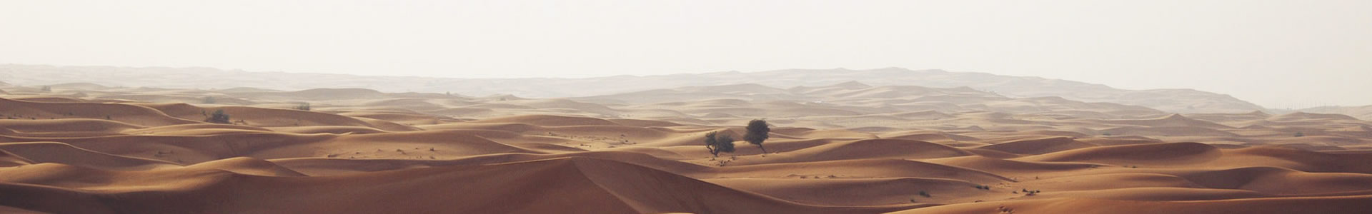 ŵƤ޹˾